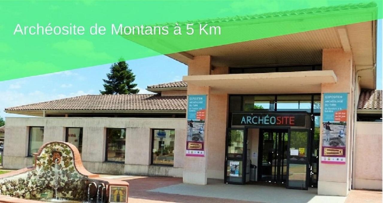 Le Grand Cottage Nature Piscine Chauffee Privee Du Tarn Entre Toulouse Et Albi & Les Cottages Du Tarn Peyrole 외부 사진