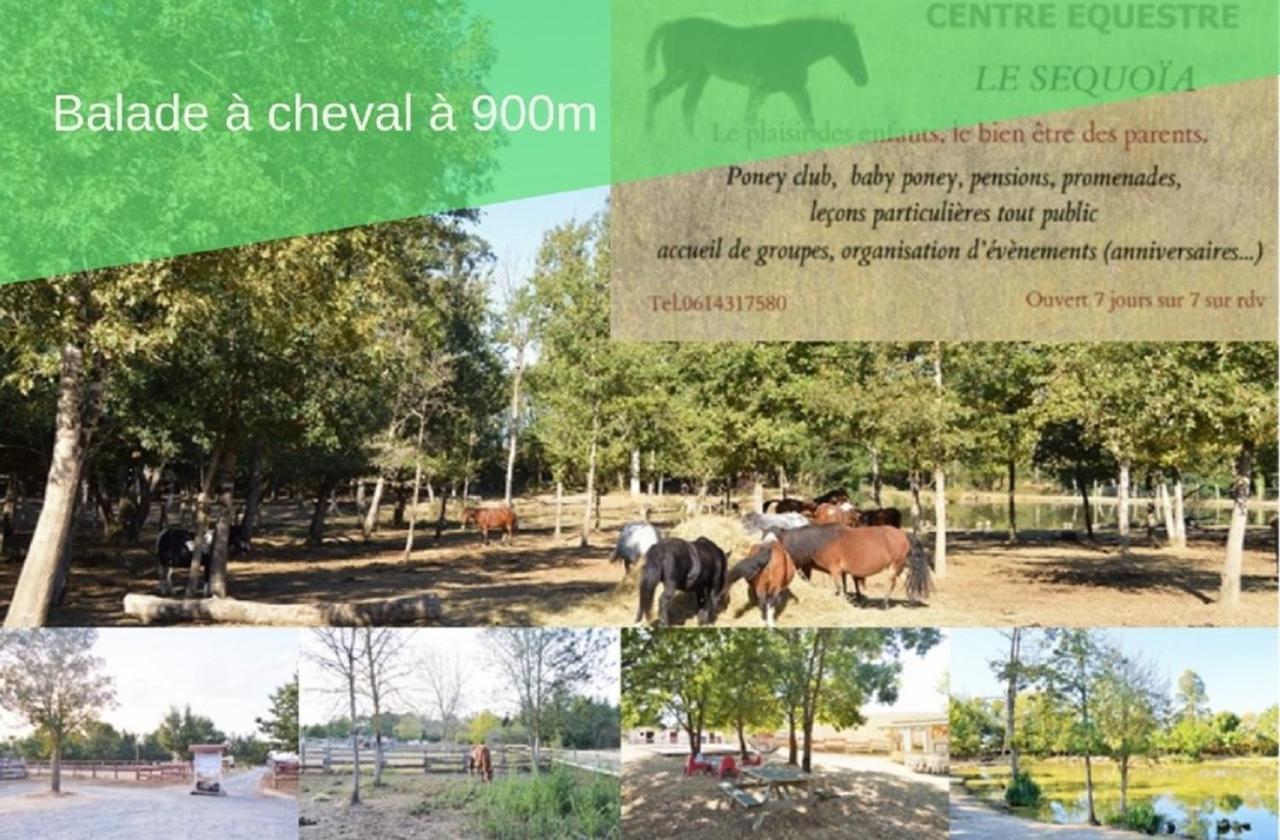 Le Grand Cottage Nature Piscine Chauffee Privee Du Tarn Entre Toulouse Et Albi & Les Cottages Du Tarn Peyrole 외부 사진